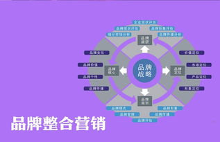 杭州暢聚科技 面向江山市的互聯(lián)網(wǎng)推廣策略與技術(shù)實踐